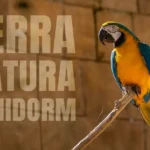 ZOO w Benidorm Ogród Zoologiczny Terra Natura