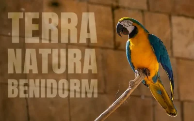 ZOO w Benidorm Ogród Zoologiczny Terra Natura
