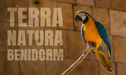 ZOO w Benidorm Ogród Zoologiczny Terra Natura