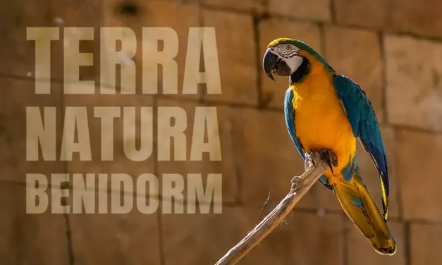 ZOO w Benidorm Ogród Zoologiczny Terra Natura