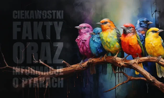 Ciekawostki o ptakach skrzydlatych mieszkańcach ziemi