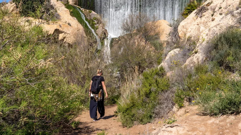 Pantano de Elche, Costa Blanca, Hiszpania. Magdalena Kiżewska.