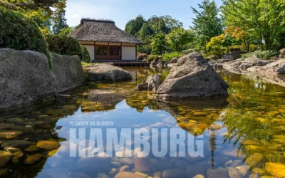 Planten un Blomen w Hamburgu zielona oaza pełna atrakcji