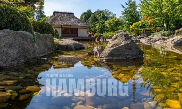Planten un Blomen w Hamburgu zielona oaza pełna atrakcji