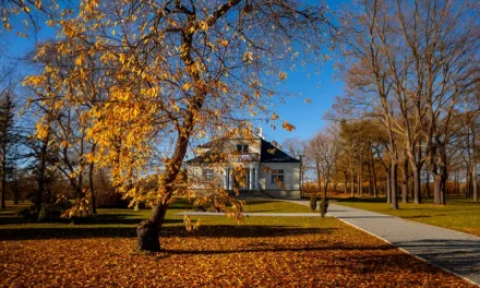 Park dworski Waldekówka w Racławicach – miejsce z historią