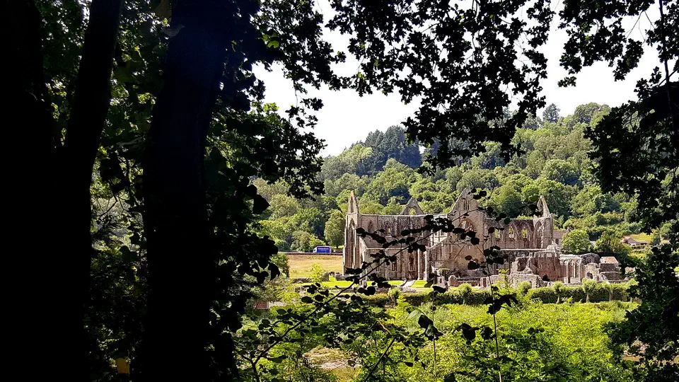 Tintern Abbey ruiny opactwa w Walii.