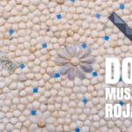 Dom z muszli w mieście Rojales na Cost Blanca w Hiszpanii