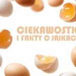Ciekawostki o jajkach i fakty, które cię zaskoczą