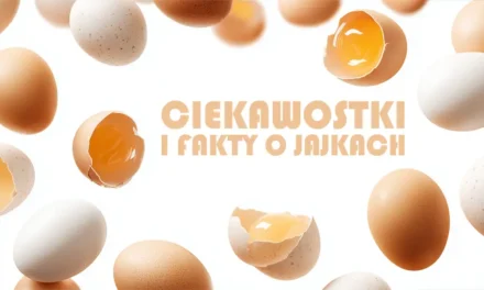 Ciekawostki o jajkach i fakty, które cię zaskoczą