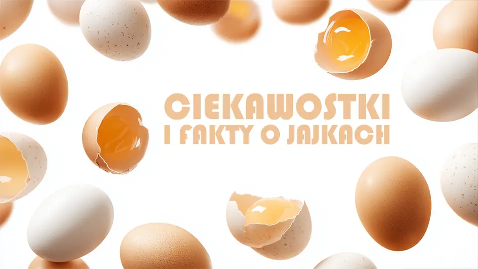 Ciekawostki o jajkach i fakty, które cię zaskoczą