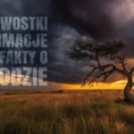 Ciekawostki o pogodzie, które zmienią Twoje spojrzenie na świat
