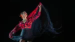 Flamenco, tancerka i artystka.