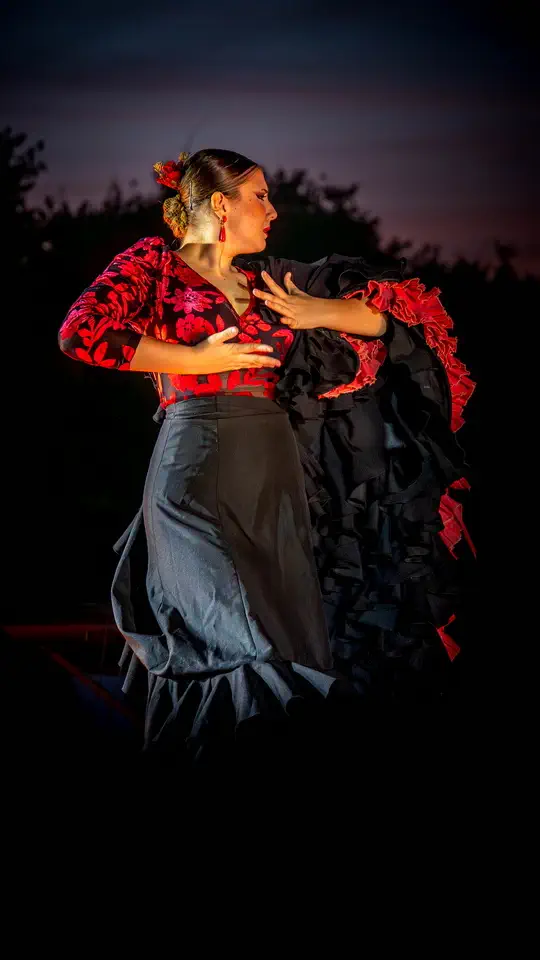 Flamenco, tancerka i artystka.