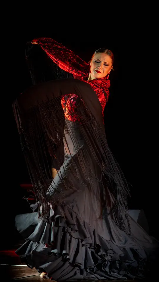 Flamenco, tancerka i artystka.