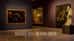 Musée des Beaux-Arts muzeum sztuki w Marsylii.