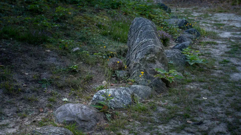 Kamienne kręgi w Leśnie na Kaszubach. 